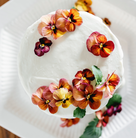 Pansy 'Nature Antique Shades' (Viola x wittrockiana)